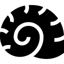 dyDVo